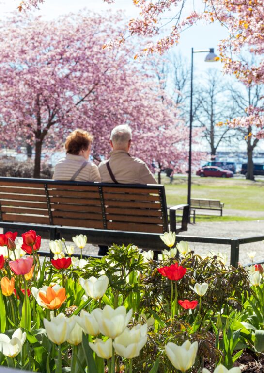 Vanhempi pariskunta istuu penkillä keväisessä Helsingissä